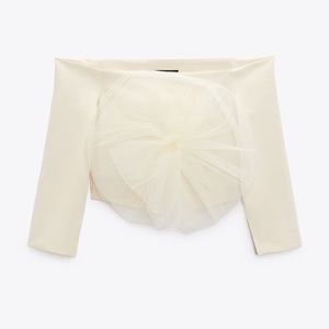 Zara cropped floral tulle top